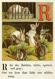 Carrots: RABBITS NIBBLING 1867