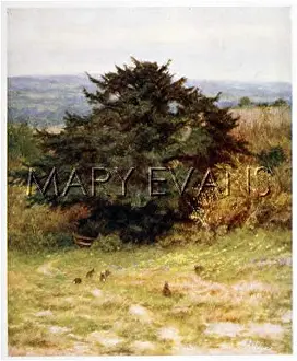 Copse: RABBITS ON A PATH 1903