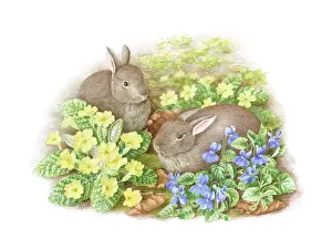 Primroses: Two Rabbits with Primroses and Violets