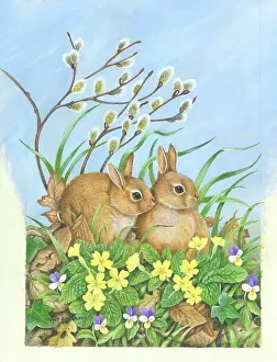 Bunnies: Rabbits with Pussy Willow and Primroses