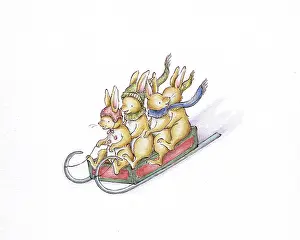 Miyuki: Four Rabbits on a sledge sliding down snowy hill