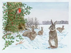 Bradbury: Rabbits in the snow