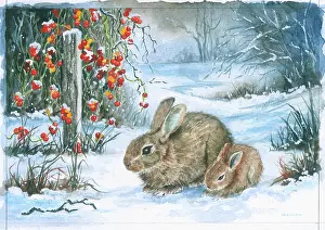 Gilda: Two Rabbits in the Snow