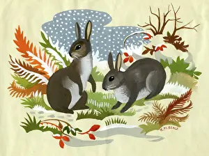 The Medici Society Ltd.: Two Rabbits in the snow