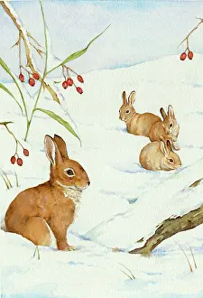 Flavell: Four Rabbits in Snow with Hawthorn Berries
