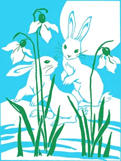 Snowdrop: Two Rabbits with Snowdrops