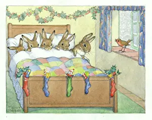 Cozy: Five rabbits tucked up warm in bed as it snows ouside