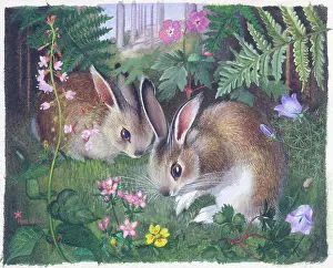 Harebells: Two Rabbits with Wild Flowers