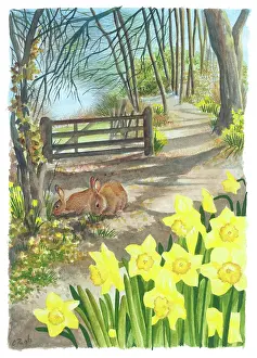 Pugh: Rabbits by woodland gate with daffodils