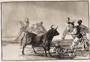 Rabble: The rabble hamstring the bull with lances, sickles, banderil