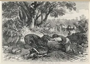 Rabies: Rabies - Bitten