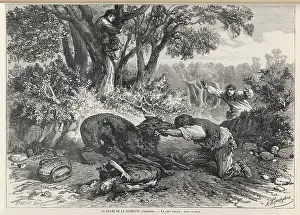 Agony: Rabies - Bitten