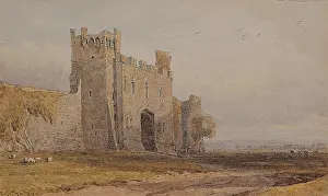 Fripp: Raby Castle, Co. Durham