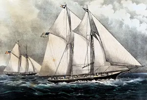 Sappho: The Race for the Queen's Cup