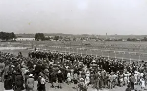 Paddock: Racecourse in Australia