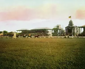 Freudenau: Racecourse at the Freudenau