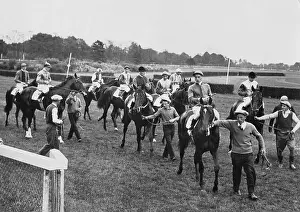Stallions: Racecourse Hoppegarten, 1933