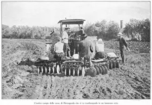 Plowing: RACECOURSE PLOWED