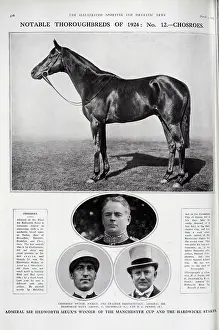 Thoroughbreds: The Racehorse Chosroes