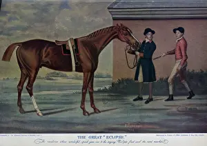 Thoroughbreds: The Racehorse Eclipse