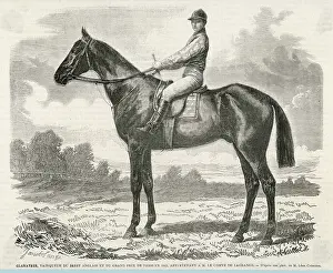 Dominated: Racehorse Gladiateur