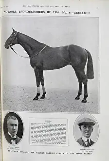 Hogg: Racehorse Scullion