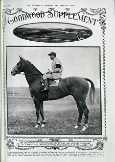 Equestrians: The Racehorse Xandover