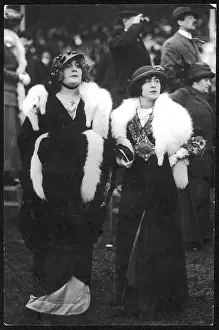 Stoles: AT THE RACES