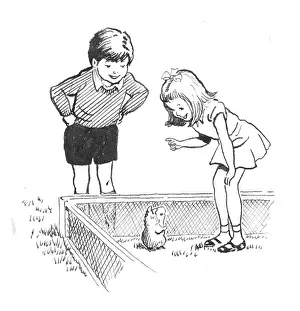 Podge: Racey Helps - Guinea Pig Podge