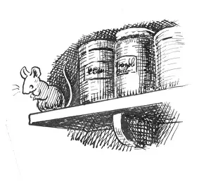 Podge: Racey Helps - Guinea Pig Podge
