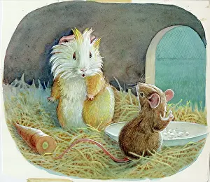 Podge: Racey Helps - Guinea Pig Podge