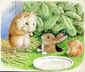 Podge: Racey Helps - Guinea Pig Podge