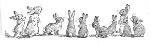 Podge: Racey Helps - Guinea Pig Podge