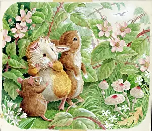 Podge: Racey Helps - Guinea Pig Podge