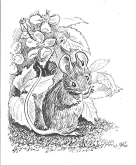 Podge: Racey Helps - Guinea Pig Podge