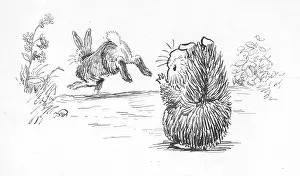 Podge: Racey Helps - Guinea Pig Podge