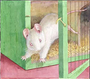Wilberforce: Racey Helps - Just Wilberforce