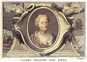 Ruysch: RACHEL VAN POOL