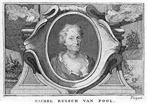 Ruysch: RACHEL VAN POOL