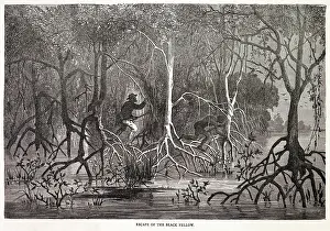 Aborigines: RACIAL/ABORIGINE C1870