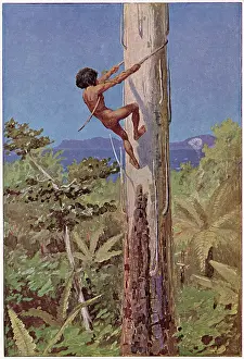 Aborigines: RACIAL/ABORIGINE C1900