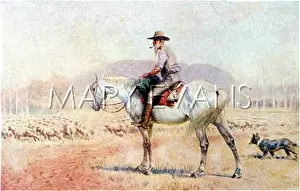 Drover: RACIAL/AUSTRALIA/SHEEP