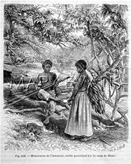 Metis: RACIAL/BRAZIL/MAMELUCOS