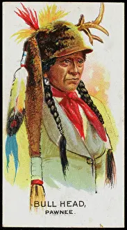 Pawnee: RACIAL/BULL HEAD/PAWNEE
