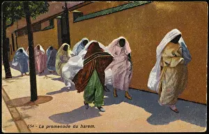 Veils: RACIAL/EGYPT/HAREM WOMEN