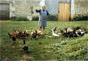 Dordogne: RACIAL/FRENCH FARMER