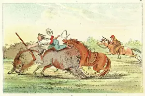 Instance: RACIAL/HUNTING BUFFALO