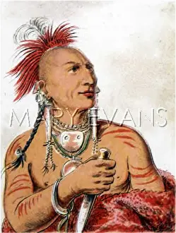 C1830: RACIAL/KANSA MAN C1830