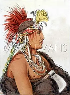 C1830: RACIAL/KANSA MAN C1830
