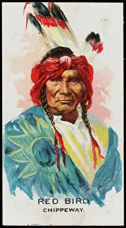 Chippewa: RACIAL/RED BIRD/CHIPPEWA